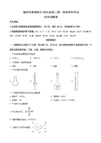 2022-2023学年浙江省温州市高三上学期11月第一次适应性考试化学试题 （解析版）