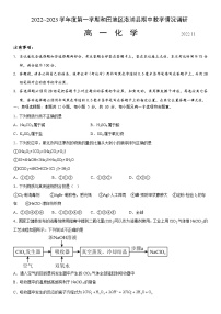 2023维吾尔自治区和田地区洛浦县高一上学期11月期中教学情况调研化学试题含答案