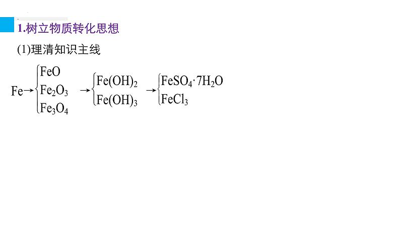 2023届高三化学高考备考一轮复习铁的多样性课件02