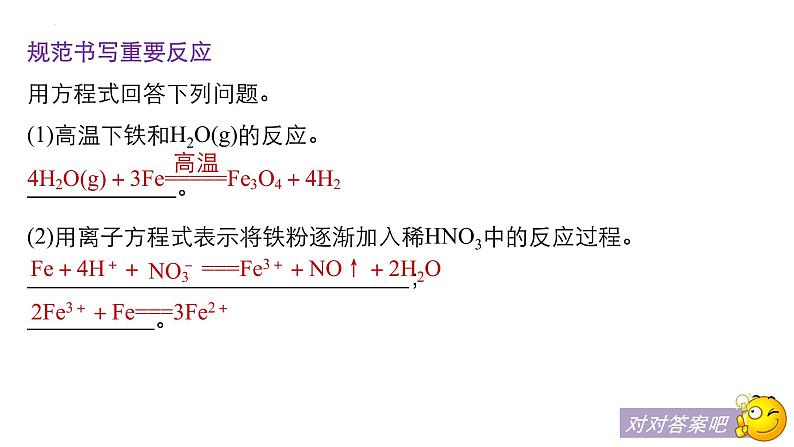 2023届高三化学高考备考一轮复习铁的多样性课件04