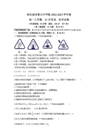 黑龙江省哈尔滨市第九中学校2022-2023学年高一化学上学期11月月考试题（Word版附答案）