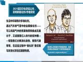 化学（人教版）选择性必修1   第二章 第一节 第3课时  活化能 课件教案学案练习