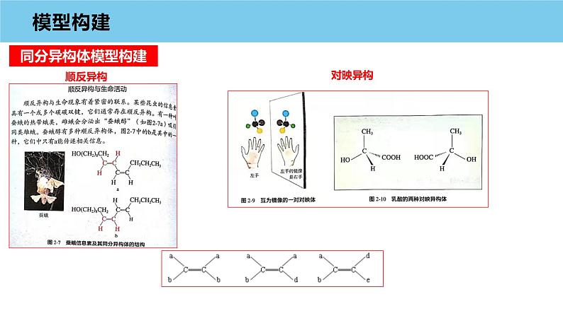 2023届高考有机化学基础(Ⅱ卷)模型的构建课件PPT08