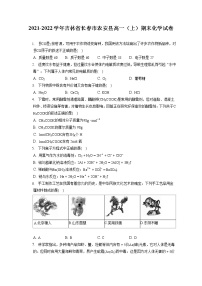 2021-2022学年吉林省长春市农安县高一（上）期末化学试卷（含答案解析）