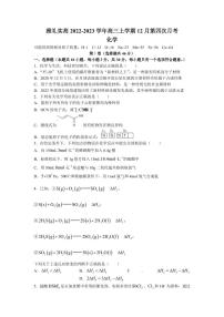 2022-2023学年湖南省长沙市雅礼中学实高高三上学期12月第四次月考化学试题（PDF版）