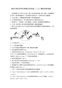 2021-2022学年江西省吉安市高二（上）期末化学试卷（含答案解析）