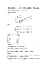 (新高考)高考化学一轮复习讲义第1章第3讲必做实验提升(一)用化学沉淀法去除粗盐中的杂质离子(含解析)