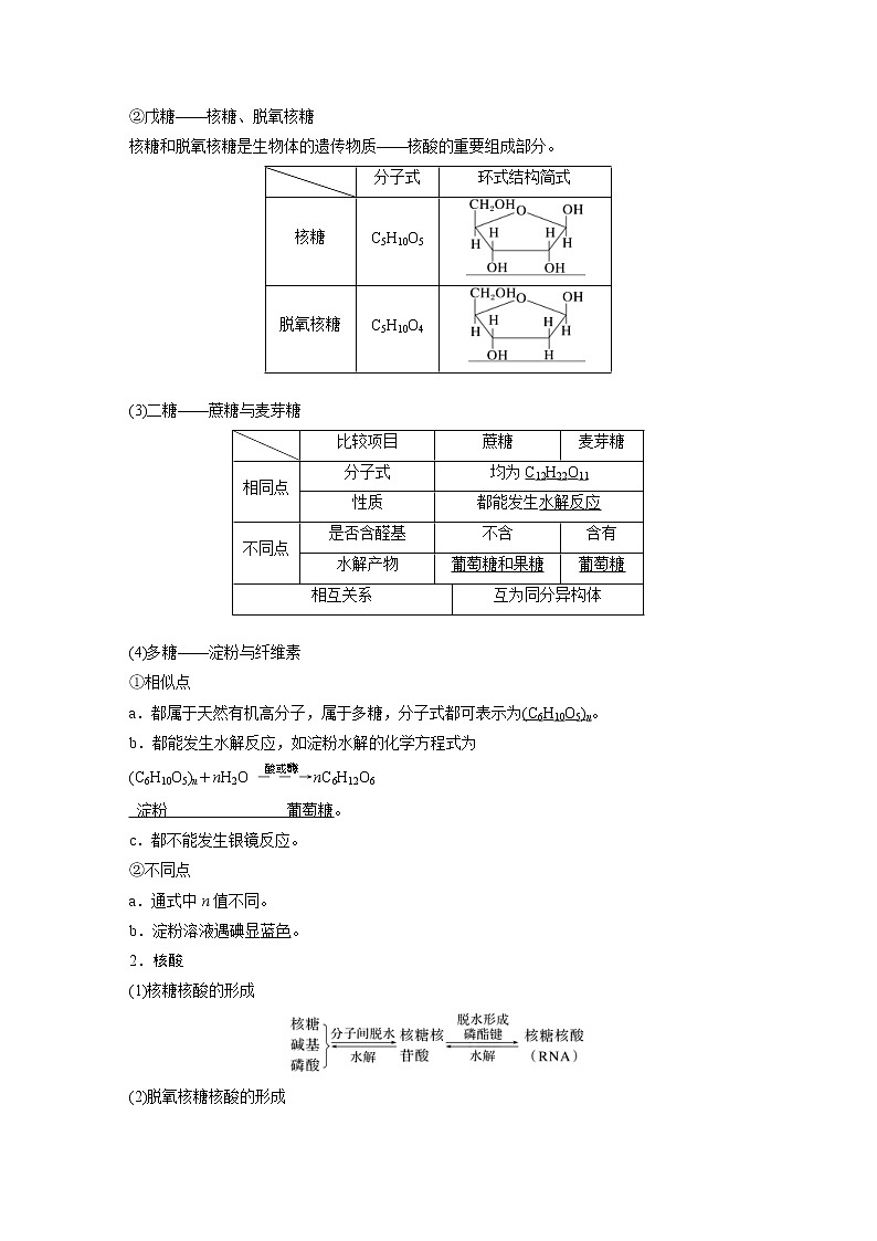 (新高考)高考化学一轮复习讲义第9章第61讲生命中的基础有机化学物质合成有机高分子(含解析)第2页