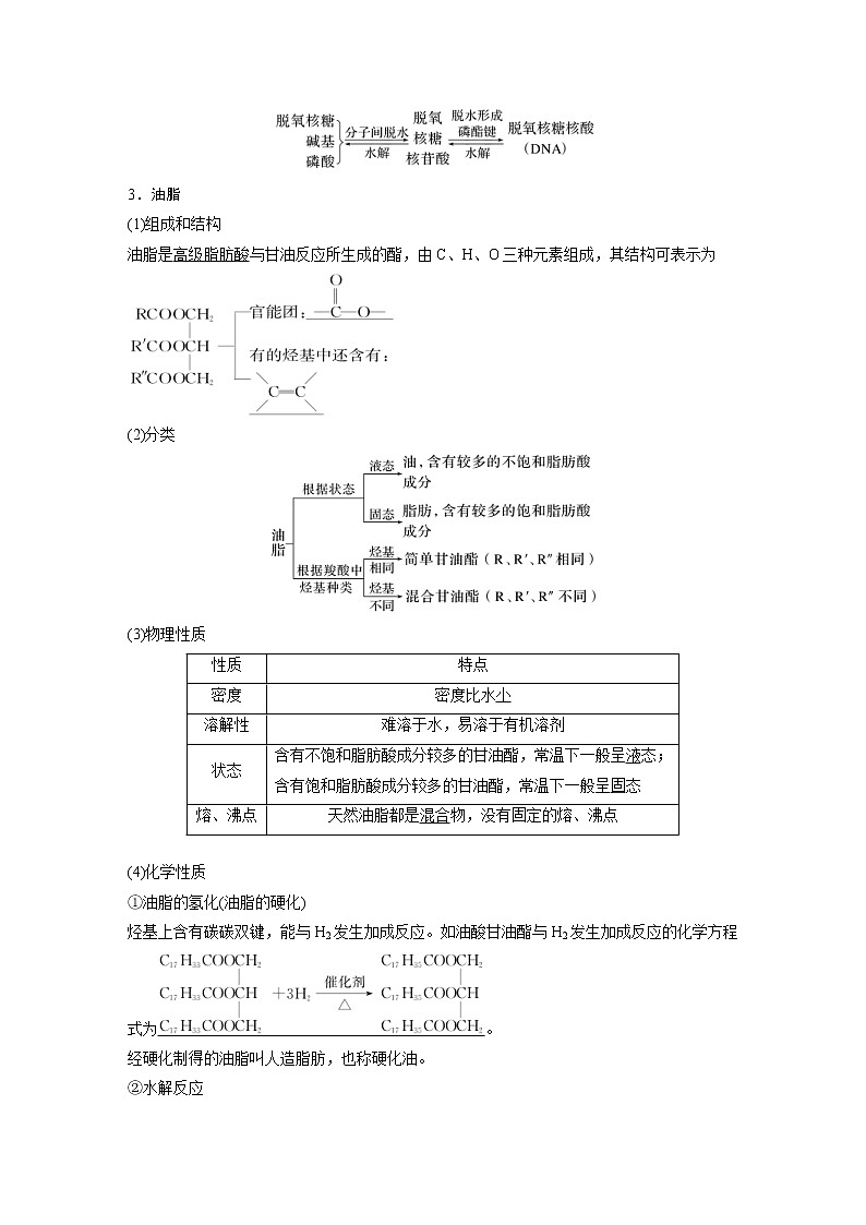 (新高考)高考化学一轮复习讲义第9章第61讲生命中的基础有机化学物质合成有机高分子(含解析)第3页