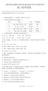 2023届湖北省十堰市县区普通高中联合体高三上学期11月期中联考化学试题（PDF版）