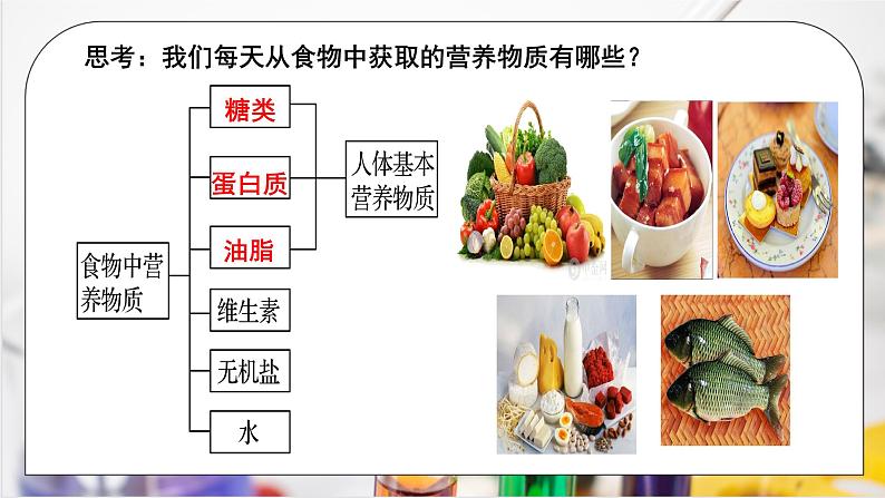 《基本营养物质》课件PPT+教学设计03