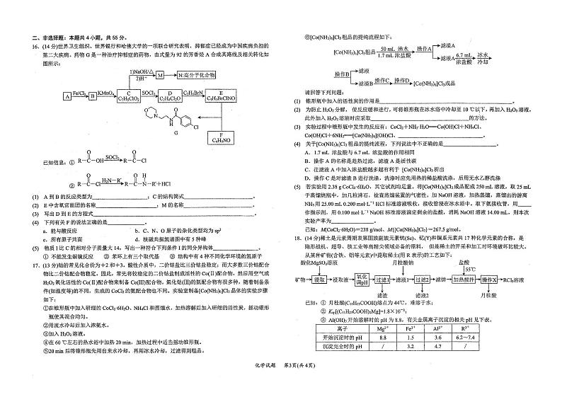 湖北省十一校2023届高三化学第一次联考试题（PDF版附答案）03