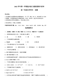 2023温州新力量联盟高一上学期期中联考试题化学含答案