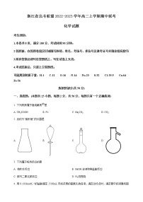 浙江省北斗联盟2022-2023学年高二上学期期中联考化学试题  Word版含解析