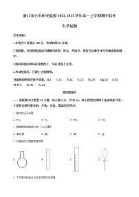 浙江省七彩阳光联盟2022-2023学年高一上学期期中联考化学试题  Word版含解析