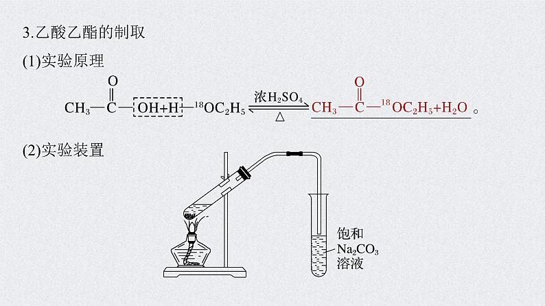 2022年高考化学一轮复习课件 第9章 第45讲　乙醇和乙酸　基本营养物质 (含解析)08