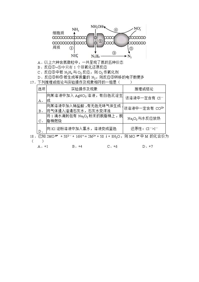 重庆市渝东六校共同体2022-2023学年高一化学上学期期中联考试题（Word版附答案）第3页