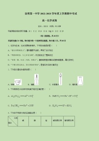 2022-2023学年云南省昆明市第一中学高一上学期期中考试化学试题含答案