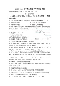 河南省驻马店开发区2022-2023学年高二化学上学期11月期中试卷（Word版附答案）