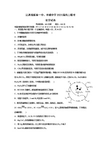 江西省新余一中、丰城中学2022-2023学年高三化学上学期11月联考试卷（Word版附答案）