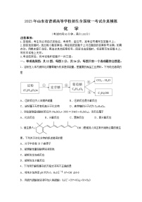 2023年山东省普通高等学校招生全国统一考试化学全真模拟试题（Word版附答案）