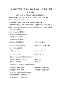 上海交通大学附属中学2022-2023学年高一化学上学期期中考试试卷（Word版附答案）