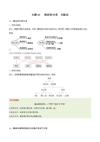 【期末综合复习】人教版(2019)化学必修第一册 高一上学期期末-专题01 物质的分类 分散系（知识串讲）