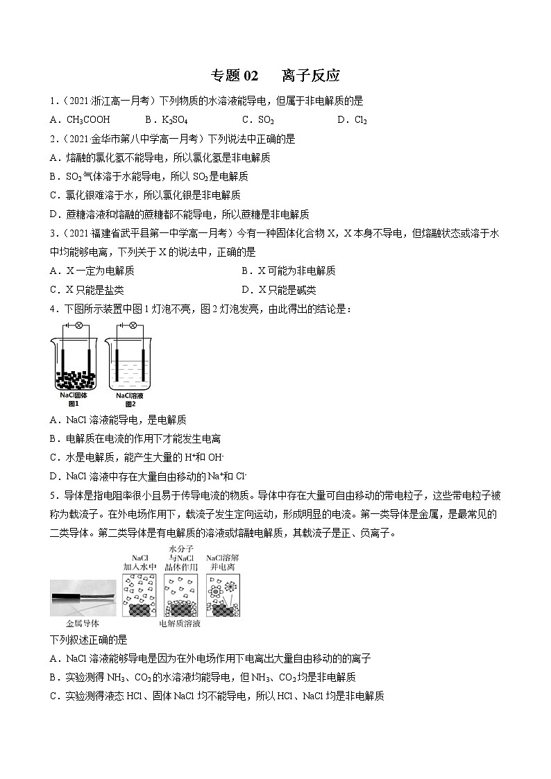 【期末综合复习】人教版(2019)化学必修第一册 高一上学期期末-专题02 离子反应（专题过关）01