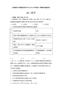 2023青海师范大学附属实验中学高三上学期12月月考化学试题含答案