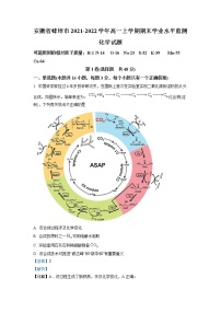 安徽省蚌埠市2021-2022学年高一化学上学期期末学业水平测试试题（Word版附解析）