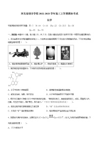 河北省部分学校2022-2023学年高三上学期期末考试化学试题（Word版含答案）