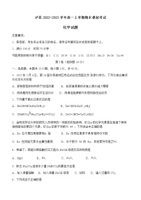 四川省泸州市泸县2022-2023学年高一上学期期末模拟考试化学试题（Word版含答案）