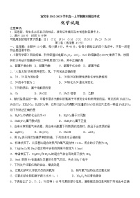 四川省宜宾市2022-2023学年高一上学期期末模拟考试化学试题（Word版含答案）