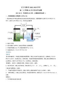 辽宁省辽阳市重点中学2022-2023学年高二上学期12月月考 化学（解析版）