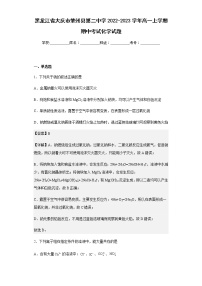 2022-2023学年黑龙江省大庆市肇州县第二中学高一上学期期中考试化学试题含解析