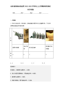 2022-2023学年山东省济南市章丘区高三上学期诊断性测试化学试题含解析