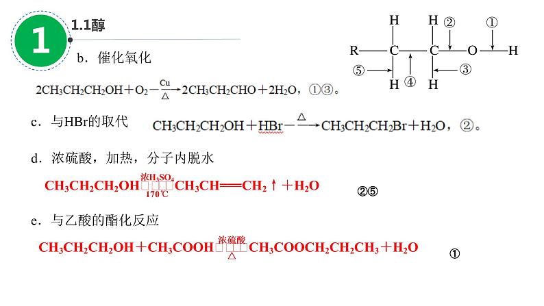 2023届山东高考一轮复习  第31讲烃的含氧衍生物第 1课时课件PPT05