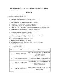 安徽省合肥市肥东县综合高中2022-2023学年高一上学期12月月考化学试题（Word版含答案）