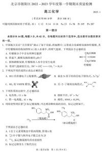 北京朝阳区2022-2023学年高三期末化学试题及答案