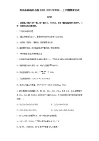 山东省青岛市崂山区名校2022-2023学年高一上学期期末考试化学试题（Word版含答案）