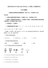 浙江省杭州市重点中学2022-2023学年高三上学期12月模拟考试化学试题（Word版含答案）