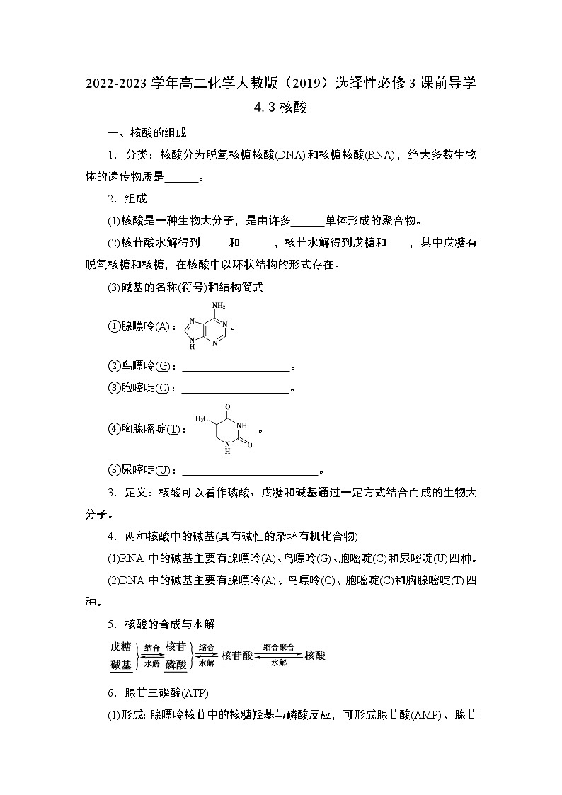 4.3 核酸——2022-2023学年高二化学人教版（2019）选择性必修3导学案01
