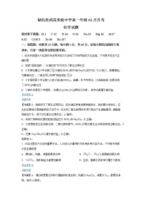 湖北省武汉市武昌实验中学2022-2023学年高一上学期12月月考化学试题（解析版）
