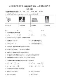 辽宁省葫芦岛市协作校2022-2023学年高一上学期第二次考试化学试题  Word版