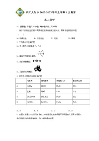 2023陕西省西北工业大学附中高三上学期1月期末化学试题含答案