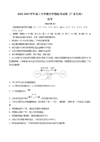 化学-2022-2023学年高三下学期开学摸底考试卷（广东专用）