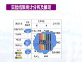 人教版 (2019)  高中  化学 选择性必修1 第三章   第三节 盐类的水解 课件
