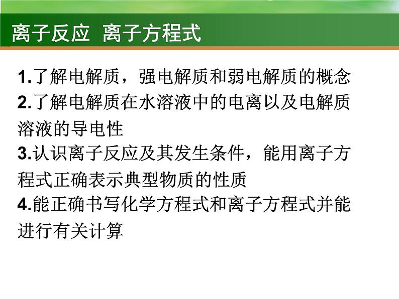 高中化学4 离子反应  离子方程式的书写-课件 2021届高三高考化学一轮复习第2页