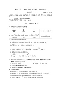 2022-2023学年北京101中学高三上学期12月统练7化学试题