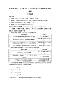 2022-2023学年河南省实验中学TOP二十名校高三上学期12月调研考试化学试题（word版）